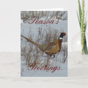 B23 Ring-necked Pheasant Card