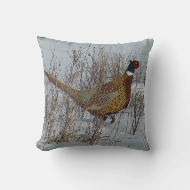 B23 Ring-necked Pheasant Cushion (Front)