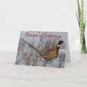 B23 Ring-necked Pheasant Holiday Card
