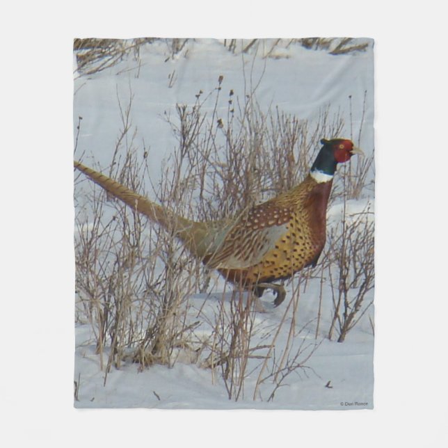 B23 Ring-necked Pheasant in Snow Fleece Blanket (Front)