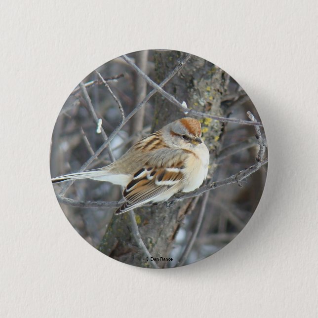 B24 Common Sparrow 6 Cm Round Badge (Front)