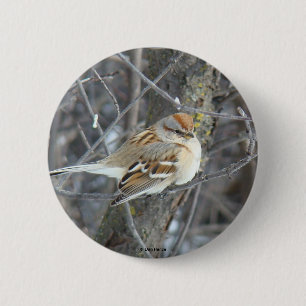 B24 Common Sparrow 6 Cm Round Badge