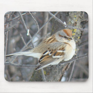 B24 Common Sparrow Mouse Pad