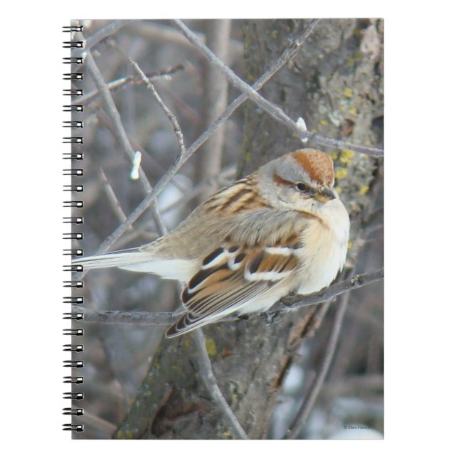 B24 Common Sparrow Notebook (Front)