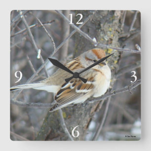 B24 Common Sparrow Square Wall Clock