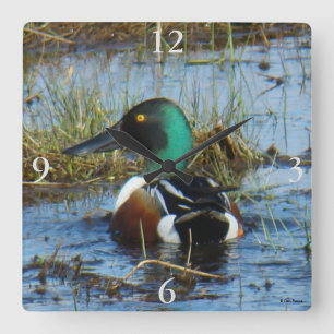 B25 Northern Shoveler Spoonbill Square Wall Clock