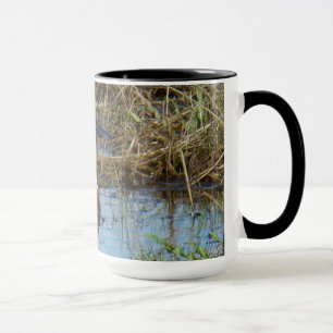 B26 Northern Shoveler Drake Mug