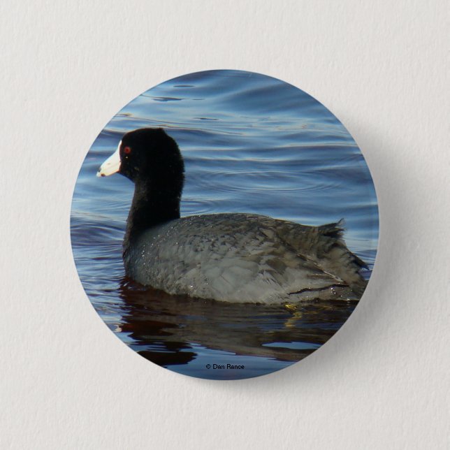 B27 Common Coot 6 Cm Round Badge (Front)
