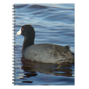 B27 Common Coot Notebook