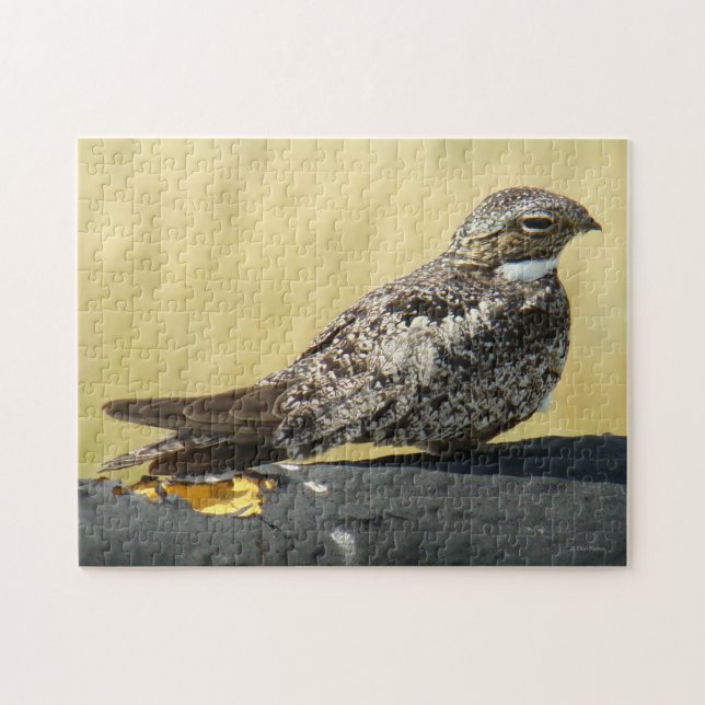 B29 Common Nighthawk Jigsaw Puzzle (Horizontal)