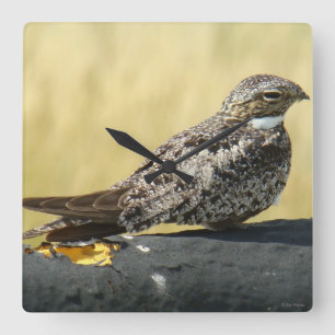 B29 Common Nighthawk Square Wall Clock