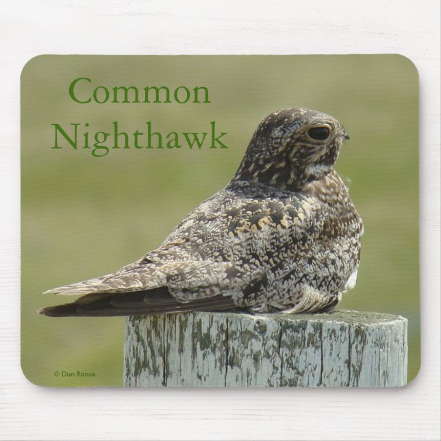 B2 Common Nighthawk Mouse Pad (Front)