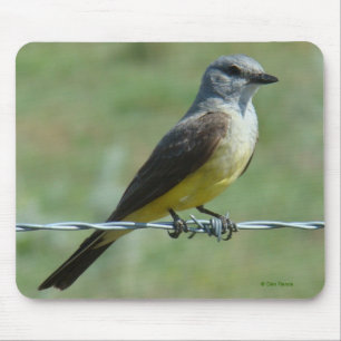 B31 Western Kingbird Mouse Pad