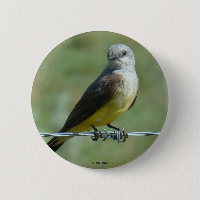 B32 Western Kingbird 6 Cm Round Badge (Front)