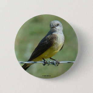 B32 Western Kingbird 6 Cm Round Badge