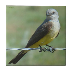 B32 Western Kingbird Ceramic Tile