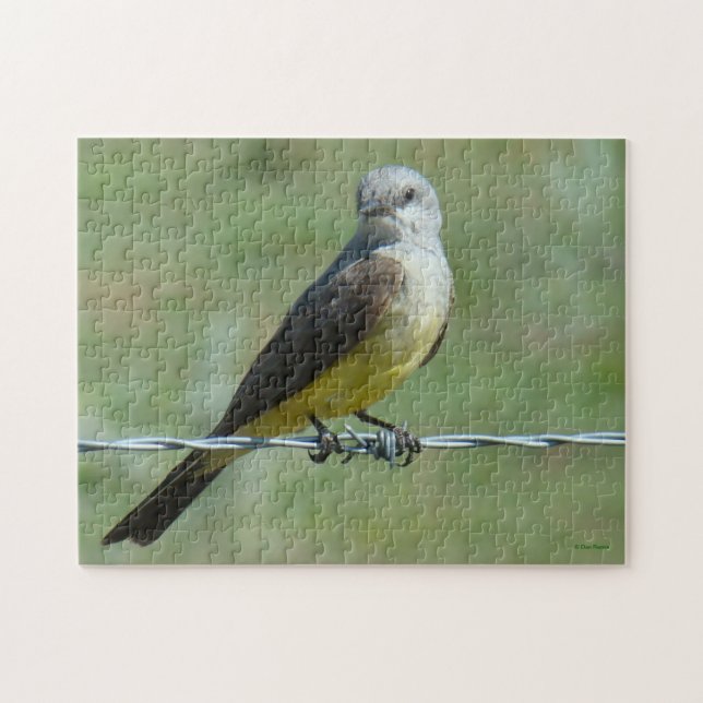 B32 Western Kingbird Jigsaw Puzzle (Horizontal)