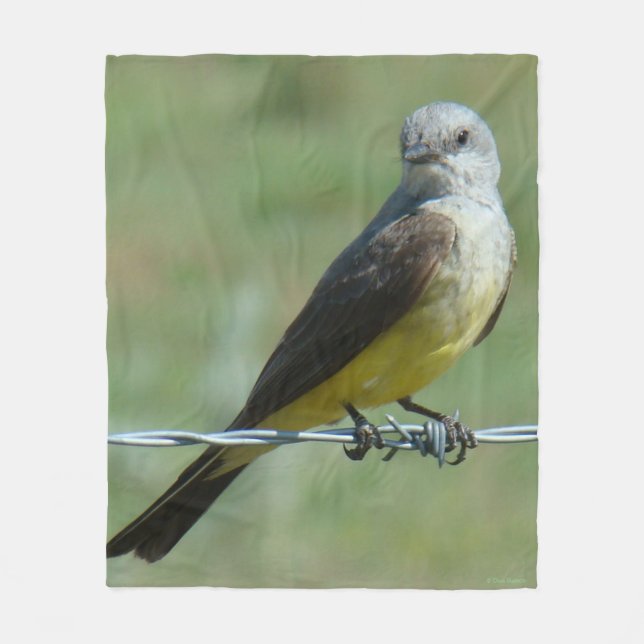 B32 Western Kingbird on Barb Wire Fleece Blanket (Front)