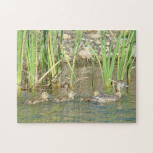 B34 Mother Duck and Ducklings Jigsaw Puzzle