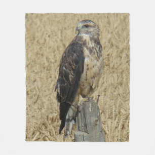 B36 Ferruginous Hawk in Wheat Field Fleece Blanket