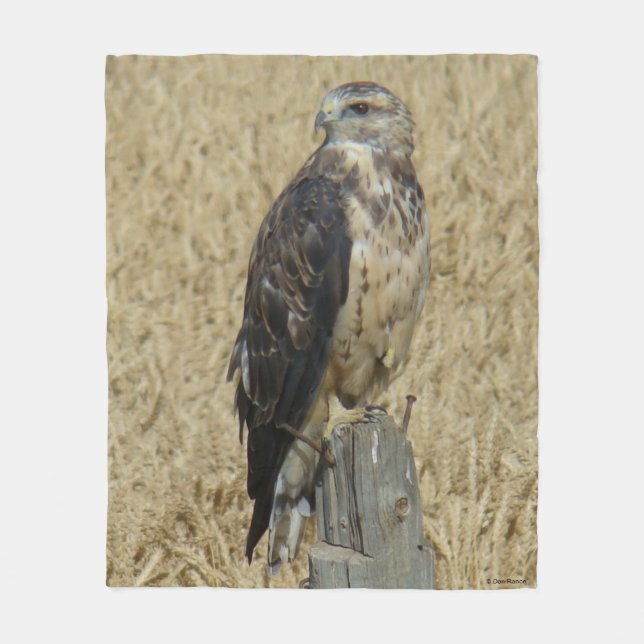 B36 Ferruginous Hawk in Wheat Field Fleece Blanket (Front)
