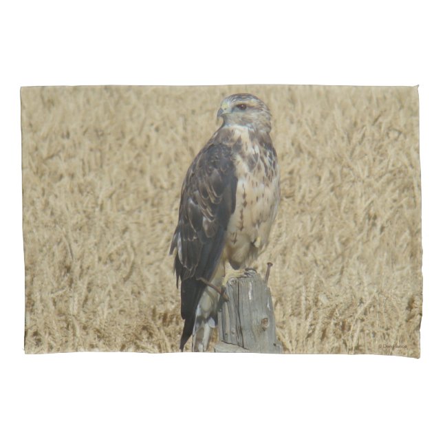 B36 Ferruginous Hawk in Wheat Field Pillowcase (Front)