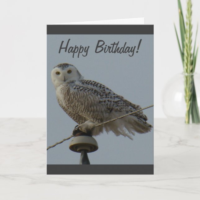 B38 Snowy Owl Card (Front)