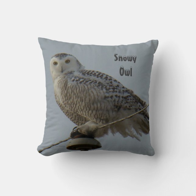 B38 Snowy Owl Cushion (Front)