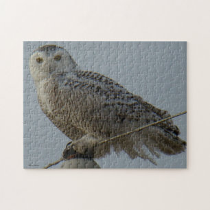 B38 Snowy Owl Jigsaw Puzzle
