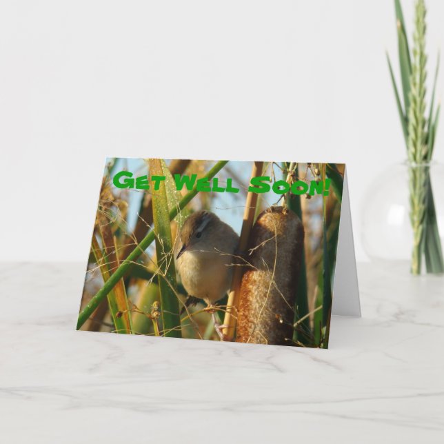 B3 Marsh Wren in Cattails Card (Front)