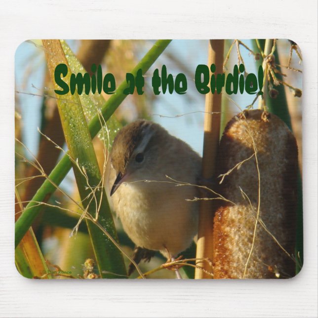 B3 Marsh Wren Mouse Pad (Front)