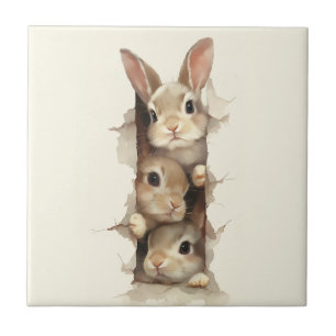 B3 Three Bunnies 3D Illusion Ceramic Tile