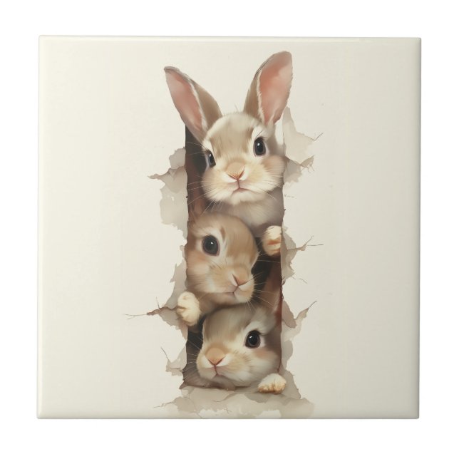 B3 Three Bunnies 3D Illusion  Ceramic Tile (Front)