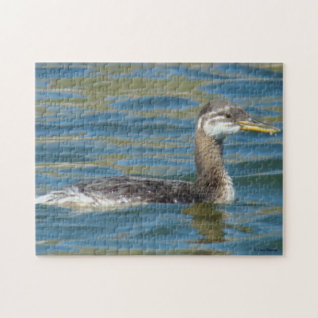 B40 Juvenile Red-necked Grebe Jigsaw Puzzle (Horizontal)