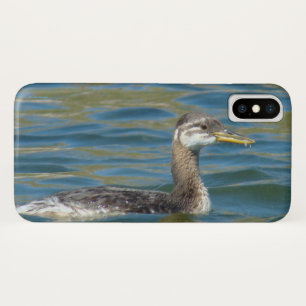 B40 Juvenile Red Throated Grebe iPhone X Case