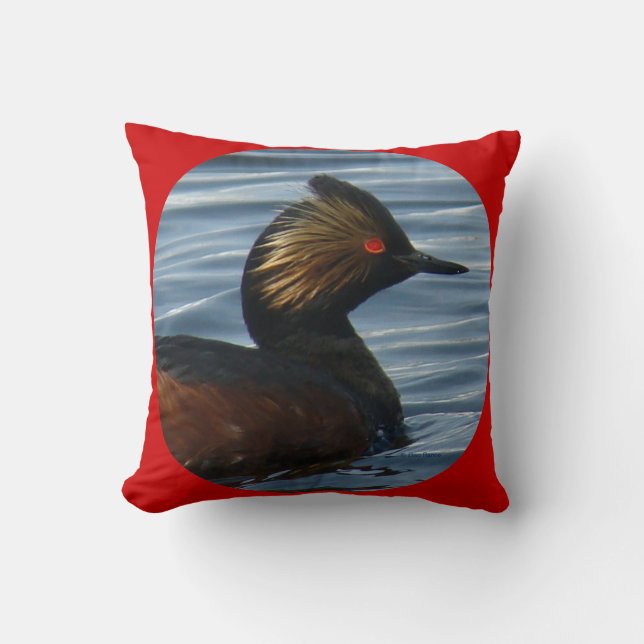 B41 Eared Grebe Cushion (Front)