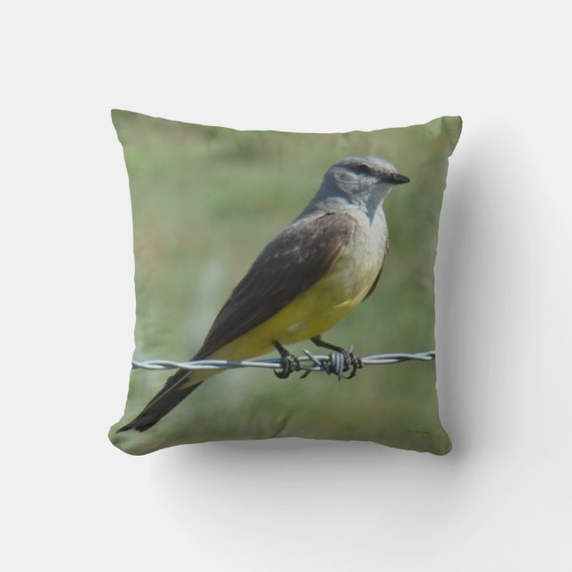 B44 Western Kingbird Cushion (Front)