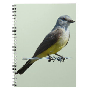 B45 Western Kingbird Notebook
