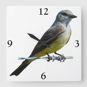 B45 Western Kingbird Square Wall Clock