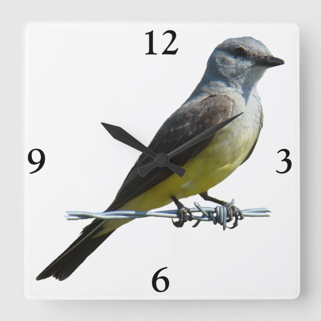 B45 Western Kingbird Square Wall Clock (Front)