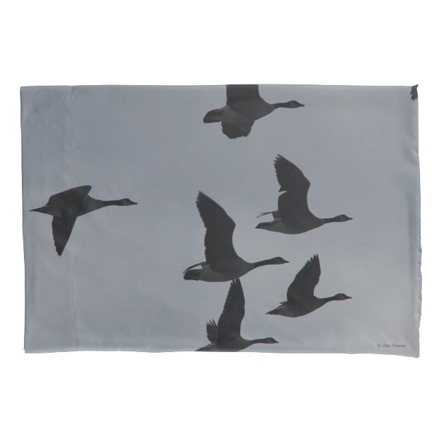 B46 Canadian Geese in Flight Silhouette Pillowcase (Front)