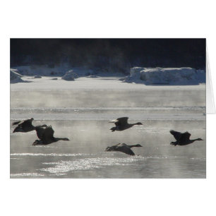 B47 Canadian Geese Over Frozen River