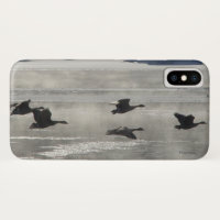 B47 Canadian Geese Over Frozen River