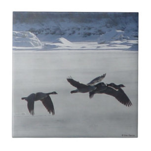 B48 Canadian Geese Over Frozen River Tile