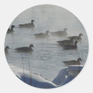 B49 Canadian Geese on Frozen River Classic Round Sticker