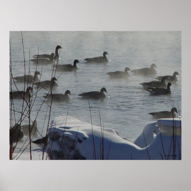 B49 Canadian Geese on Frozen River Poster (Front)