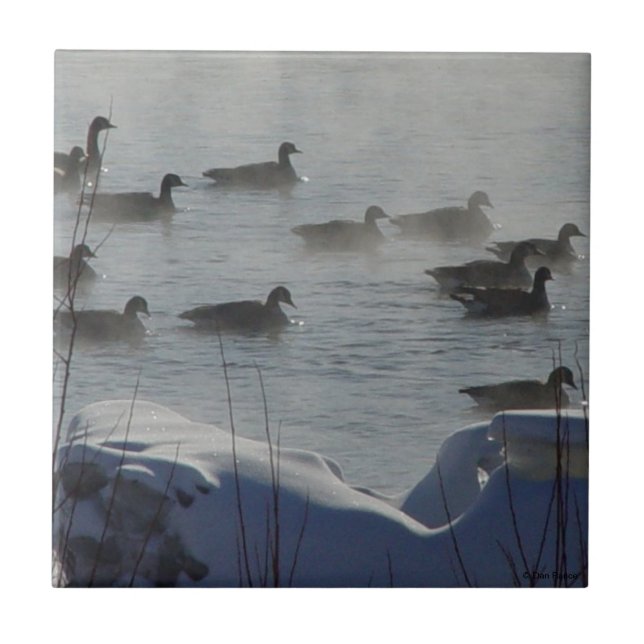 B49 Canadian Geese on Frozen River Tile (Front)