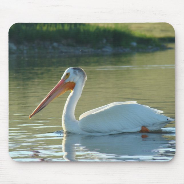 B4 White Pelican Mouse Pad (Front)
