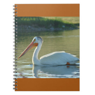 B4 White Pelican Notebook