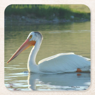 B4 White Pelican Square Paper Coaster